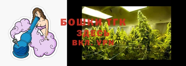 эйфоретик Аркадак