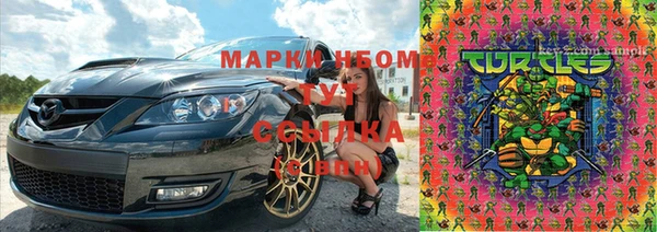 дмт Арсеньев