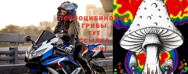 дмт Арсеньев