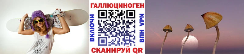 Псилоцибиновые грибы GOLDEN TEACHER  kraken сайт  Ухта 